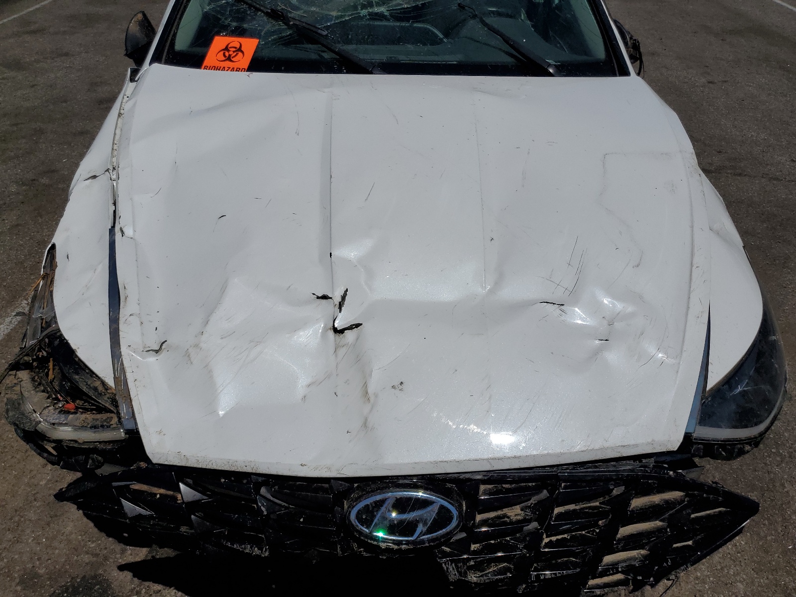 5NPEF4JA6LH024586 2020 Hyundai Sonata Sel