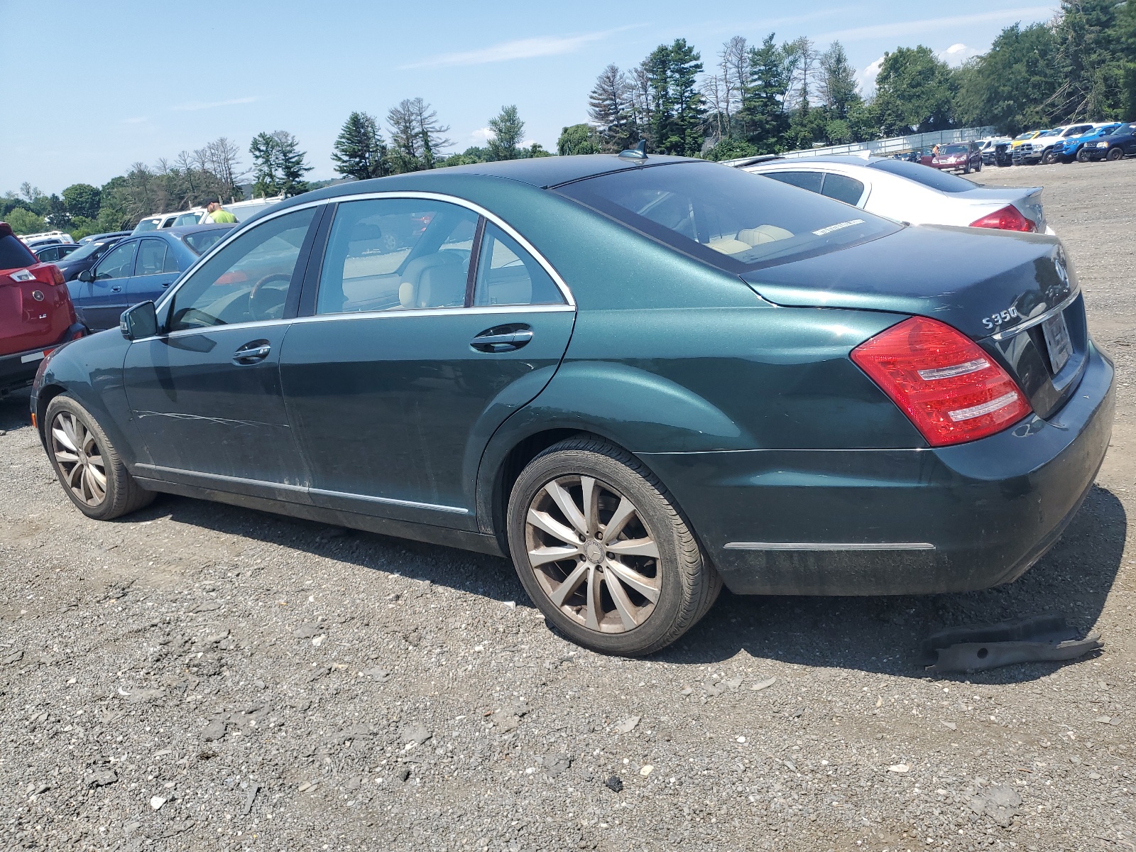 WDDNG8DB7DA522576 2013 Mercedes-Benz S 350 Bluetec