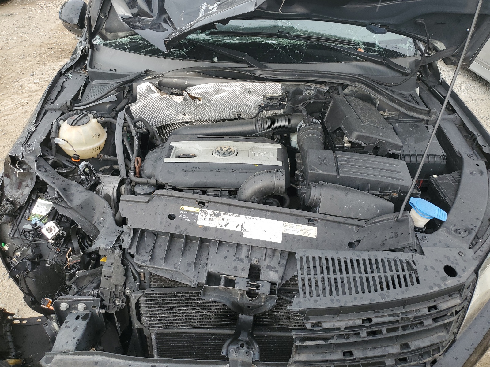 WVGAV3AX9DW568992 2013 Volkswagen Tiguan S