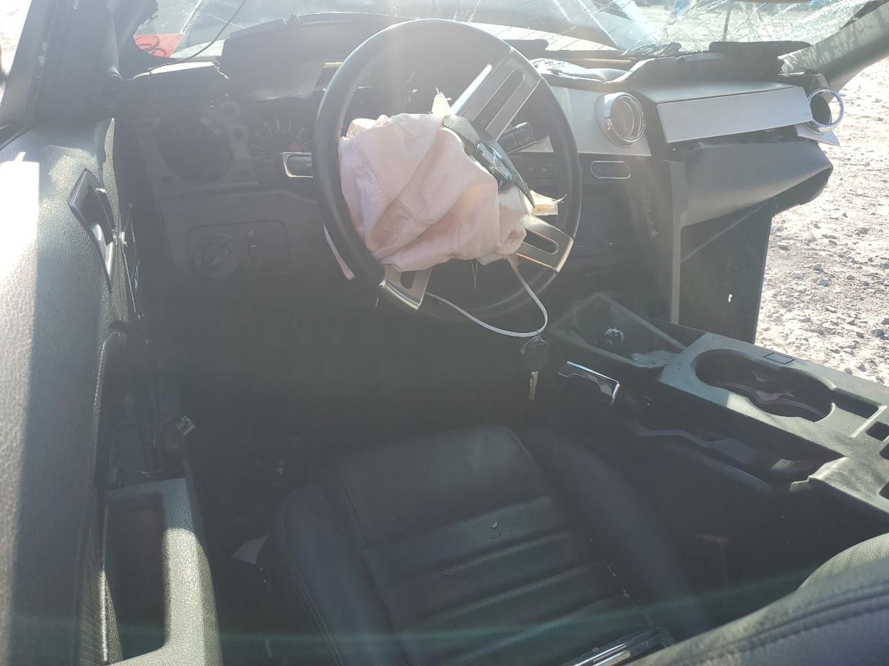 2009 Ford Mustang Gt VIN: 1ZVHT82H295142813 Lot: 61808154