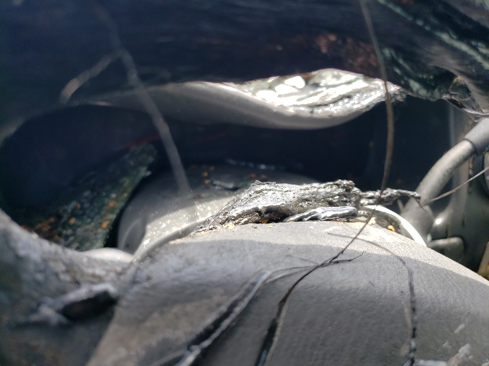 1FMPU15L34LB16613 2004 Ford Expedition Xlt