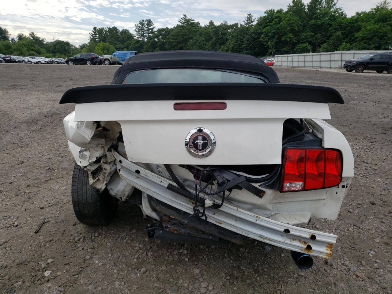 2008 Ford Mustang VIN: 1ZVHT84N985146326 Lot: 63710914