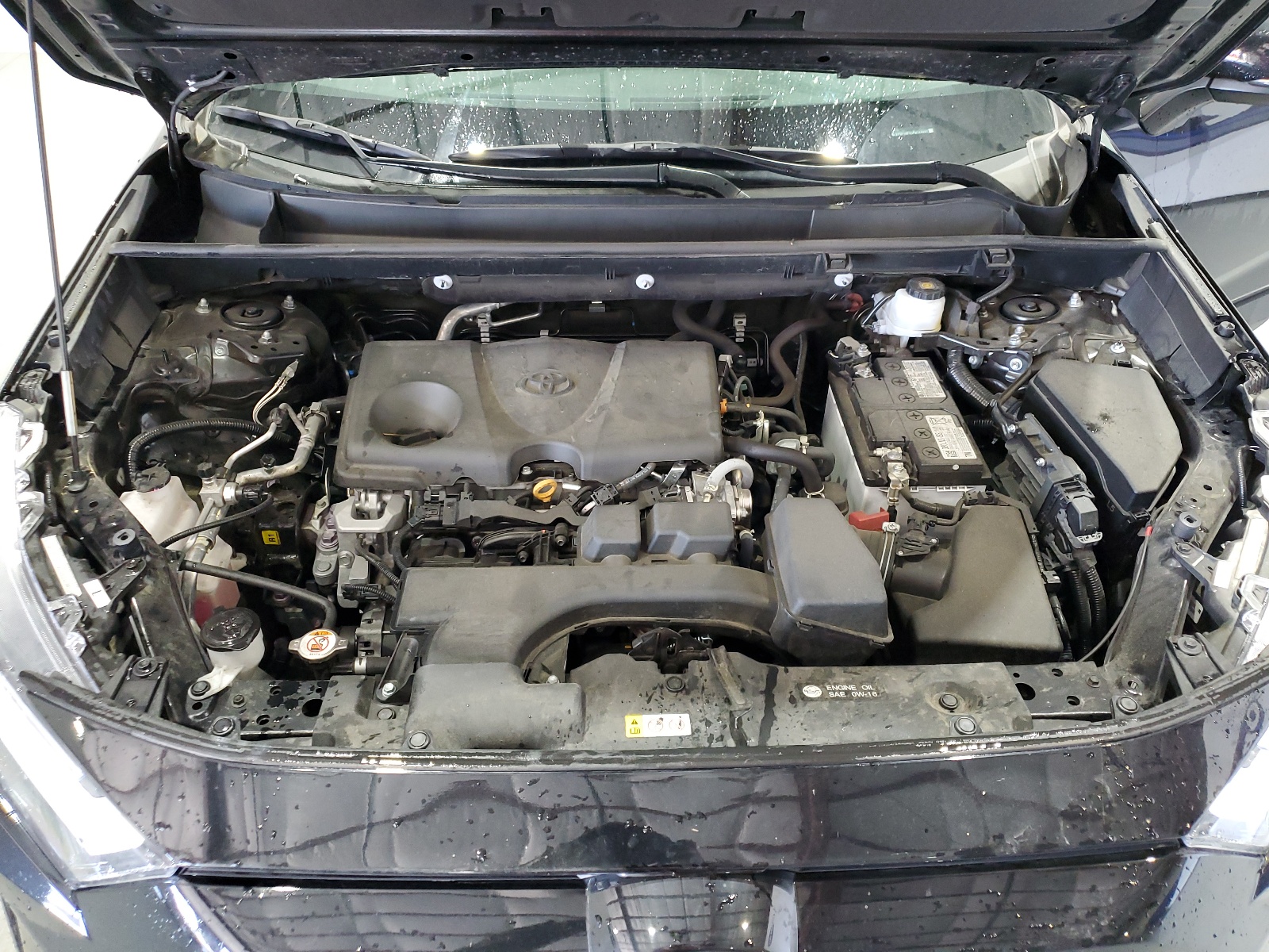 2T3P1RFV3PW344401 2023 Toyota Rav4 Xle