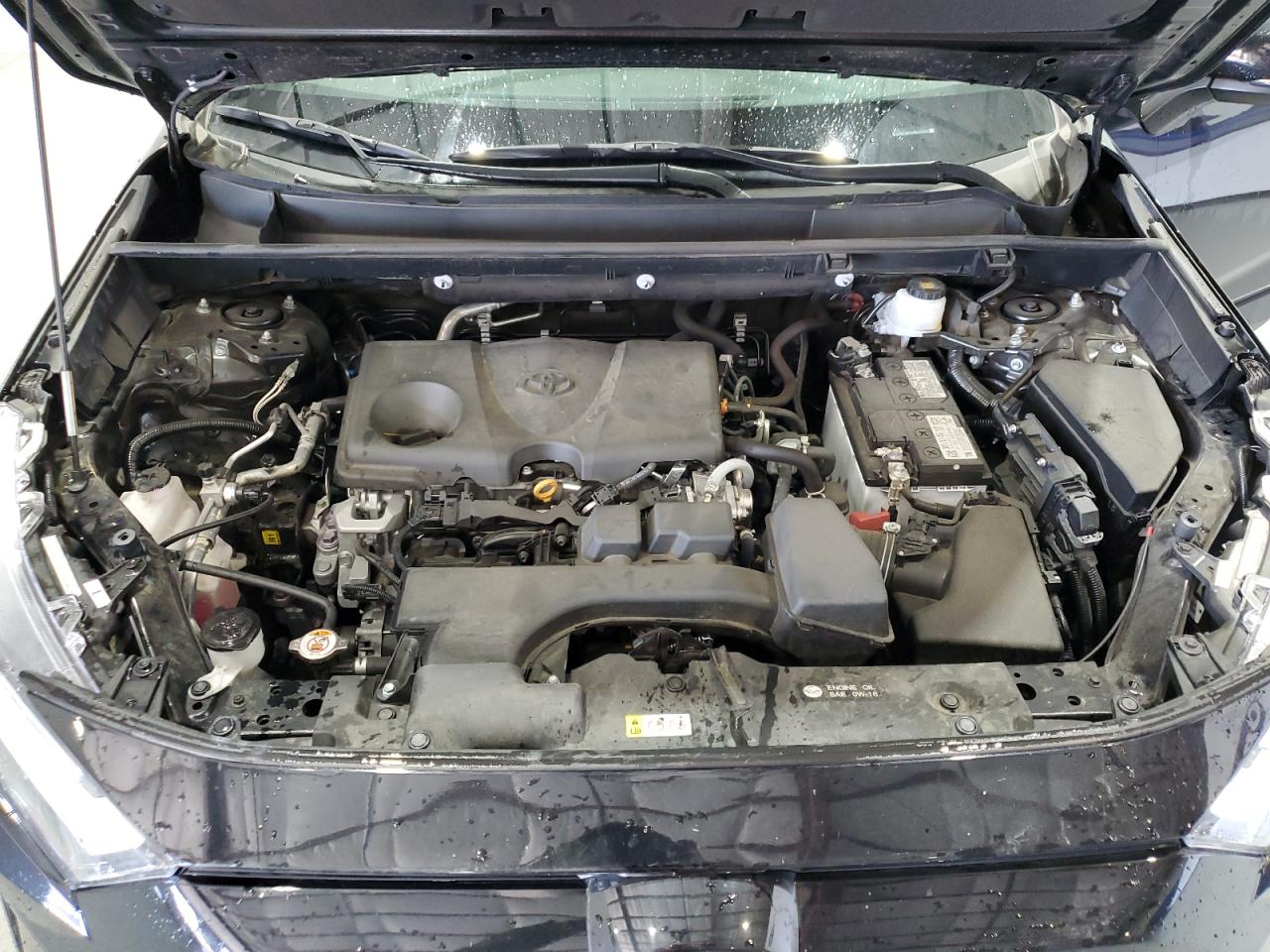 2023 Toyota Rav4 Xle VIN: 2T3P1RFV3PW344401 Lot: 62729244