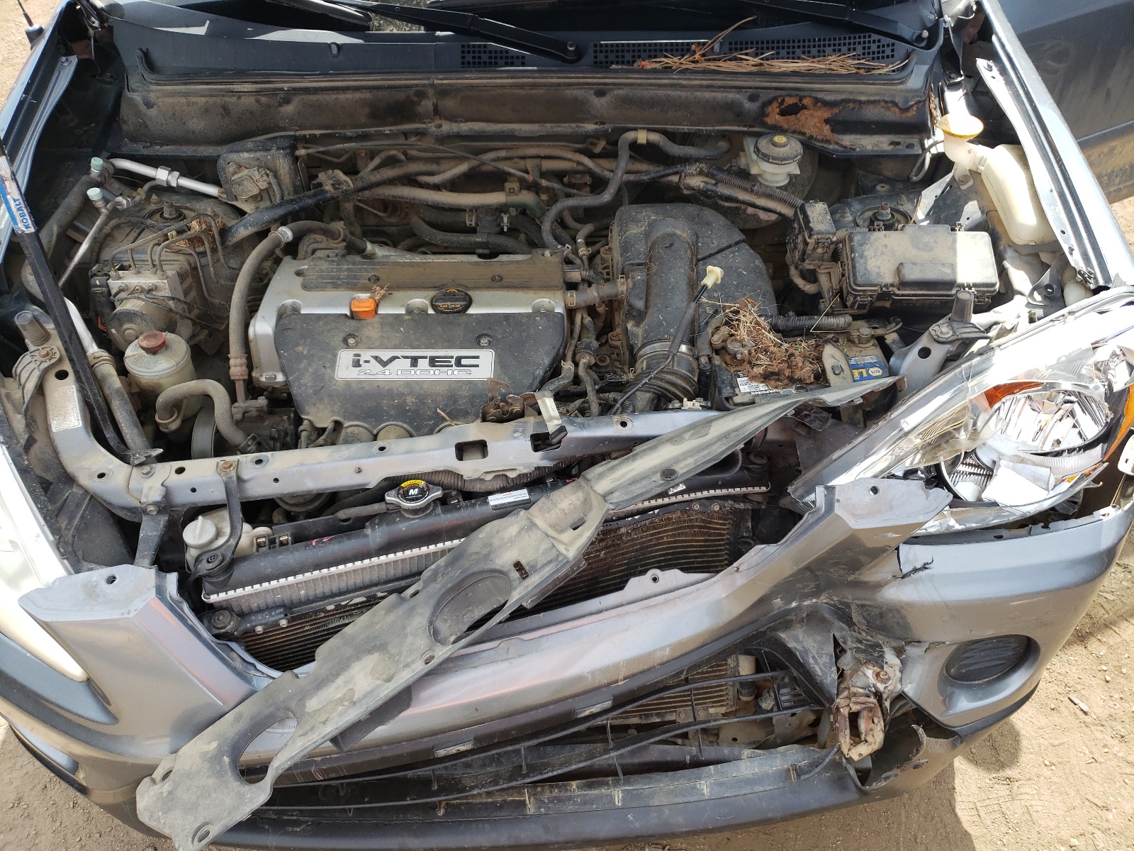 JHLRD78906C046462 2006 Honda Cr-V Se