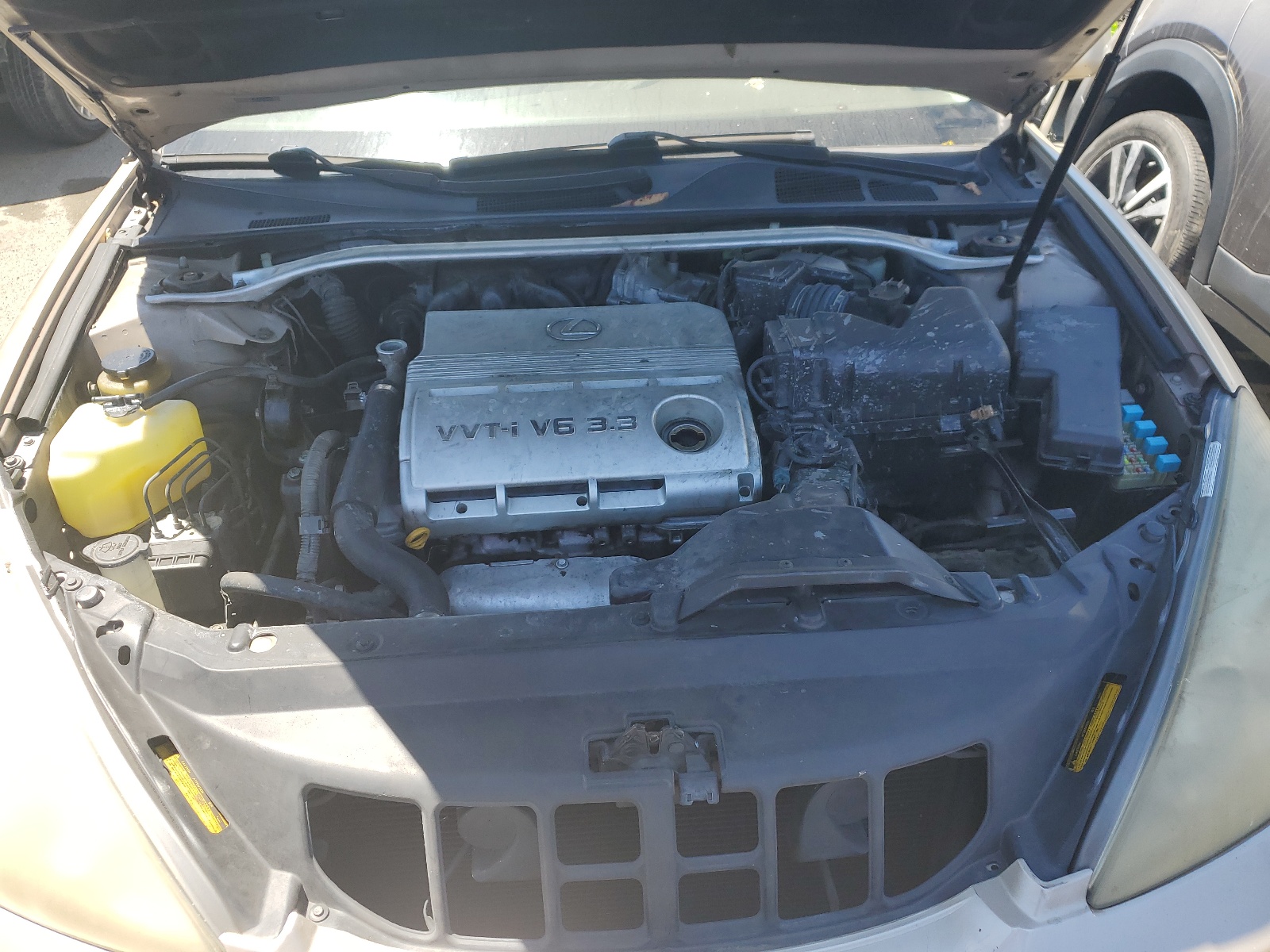 JTHBA30GX45023443 2004 Lexus Es 330