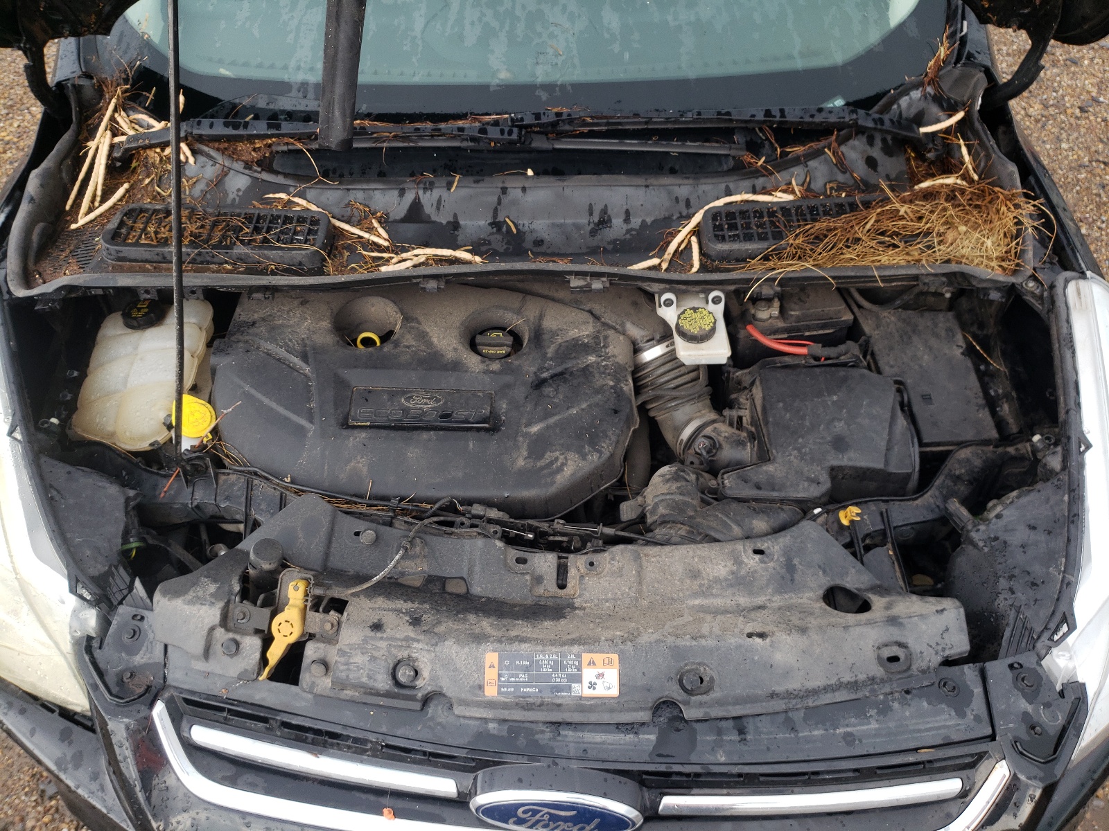 1FMCU0J94FUC78394 2015 Ford Escape Titanium