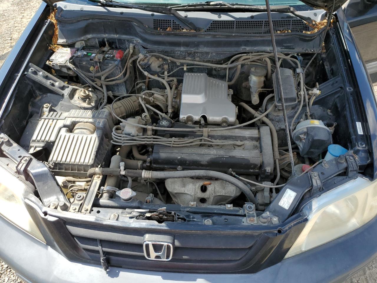 1999 Honda Cr-V Lx VIN: JHLRD1748XC039036 Lot: 64645164