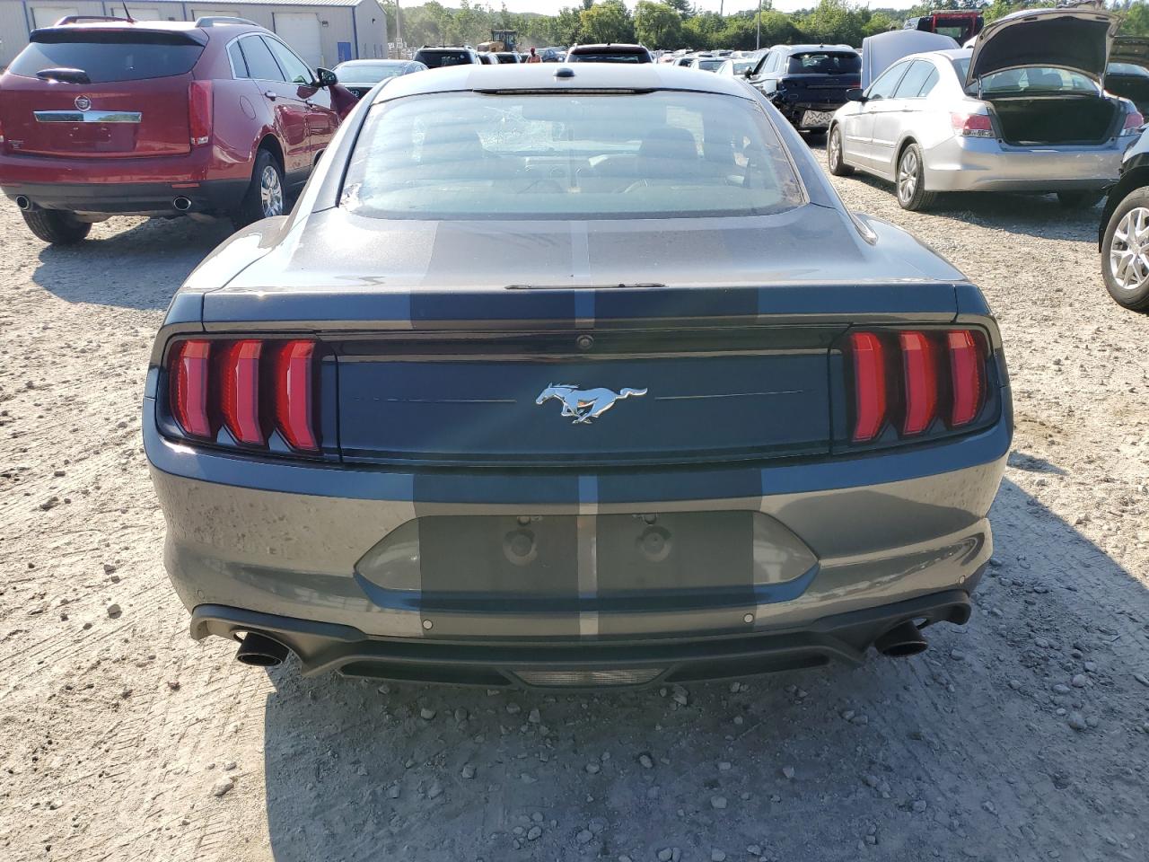 2019 Ford Mustang VIN: 1FA6P8TH5K5195210 Lot: 63596804