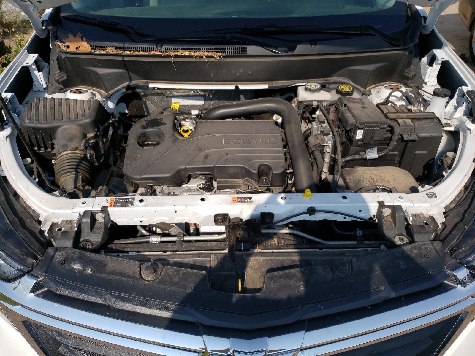 3GNAXSEG9PL229900 2023 Chevrolet Equinox Ls