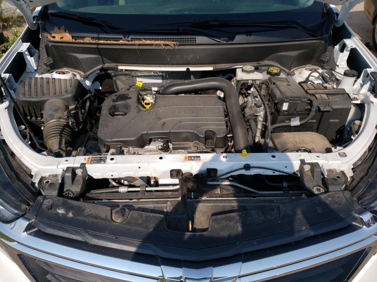 2023 Chevrolet Equinox Ls VIN: 3GNAXSEG9PL229900 Lot: 63049064