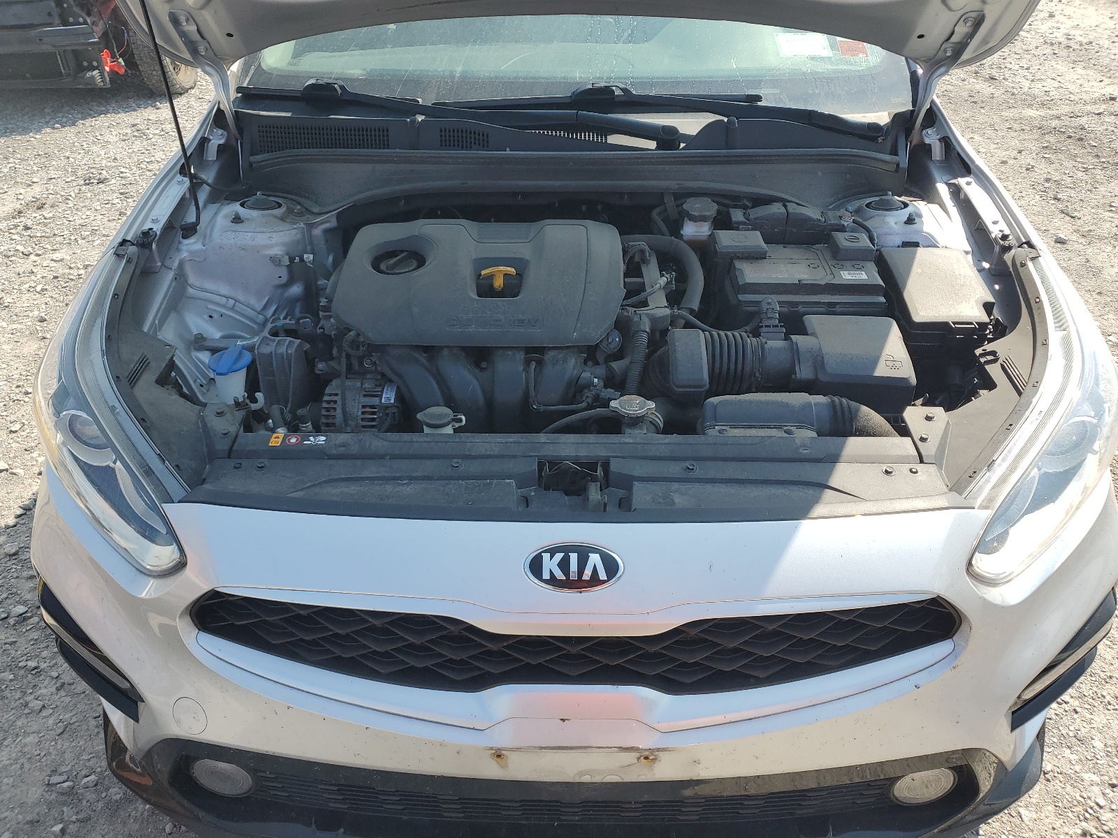 3KPF24AD0LE223986 2020 Kia Forte Fe