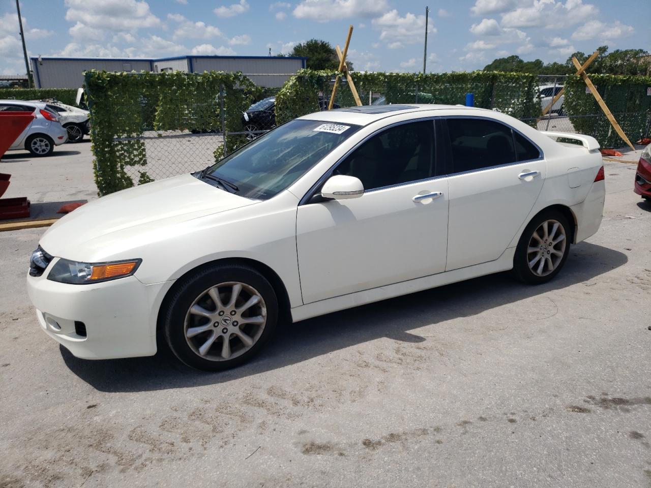 2006 Acura Tsx VIN: JH4CL96996C001877 Lot: 61295234