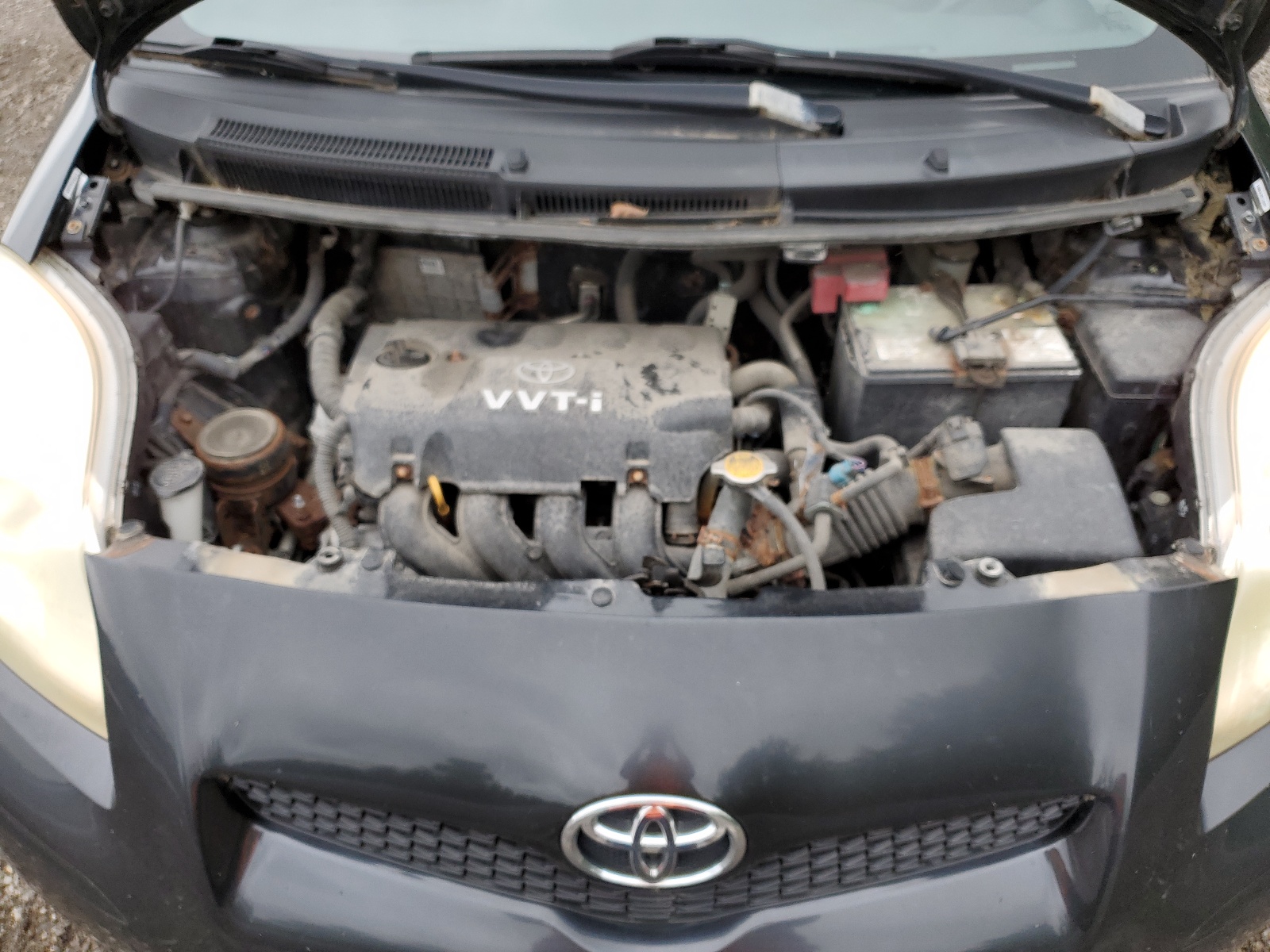 JTDKT923695266862 2009 Toyota Yaris