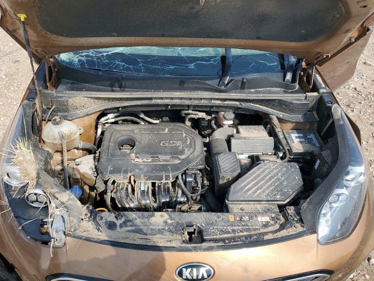 KNDPM3AC6M7922945 2021 Kia Sportage Lx