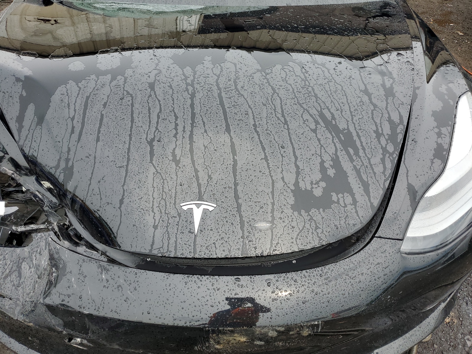 5YJ3E1EB6NF256490 2022 Tesla Model 3