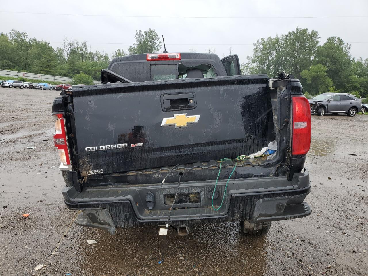 2020 Chevrolet Colorado Z71 VIN: 1GCGTDEN1L1179813 Lot: 61608184