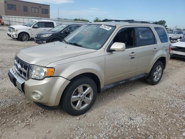 2010 Ford Escape Limited