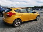 2012 Ford Focus Se zu verkaufen in Elmsdale, NS - Front End