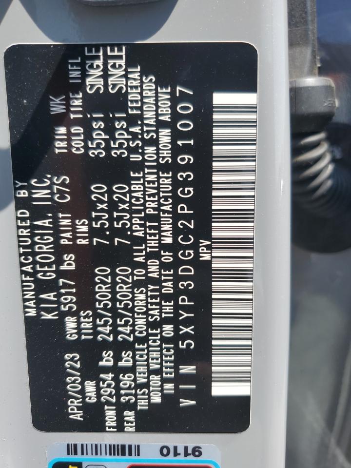 2023 Kia Telluride Ex VIN: 5XYP3DGC2PG391007 Lot: 63672474