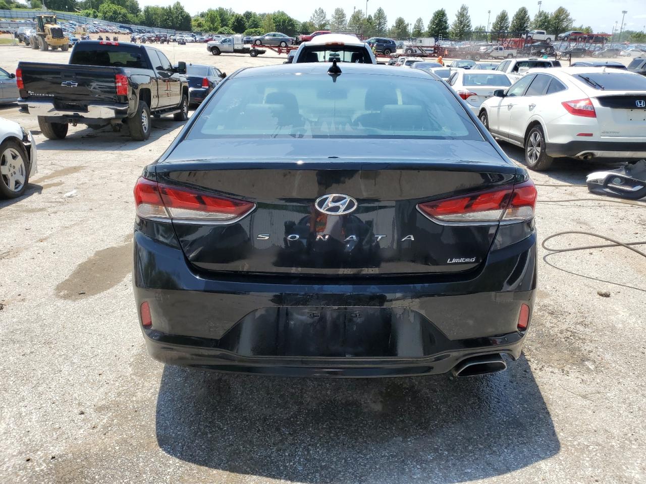 5NPE34AF9KH773014 2019 Hyundai Sonata Limited