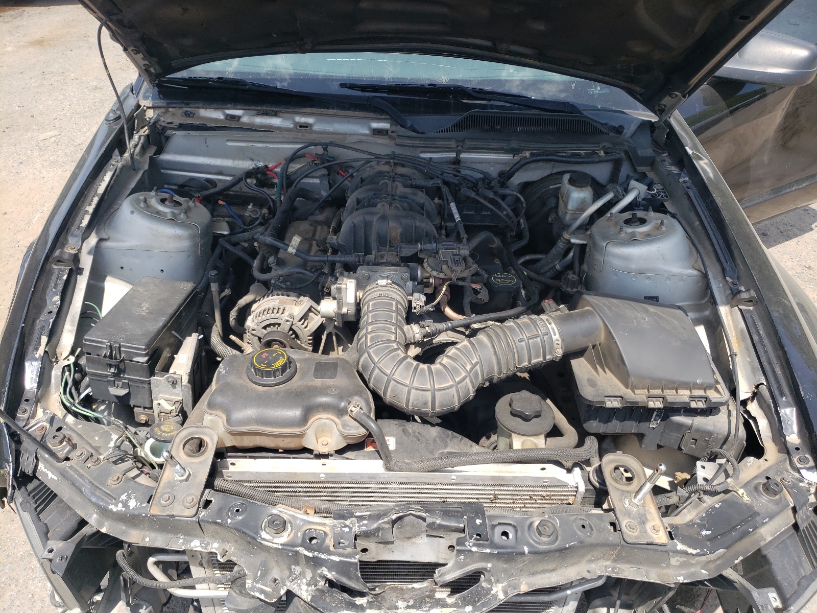 1ZVHT80N095124223 2009 Ford Mustang