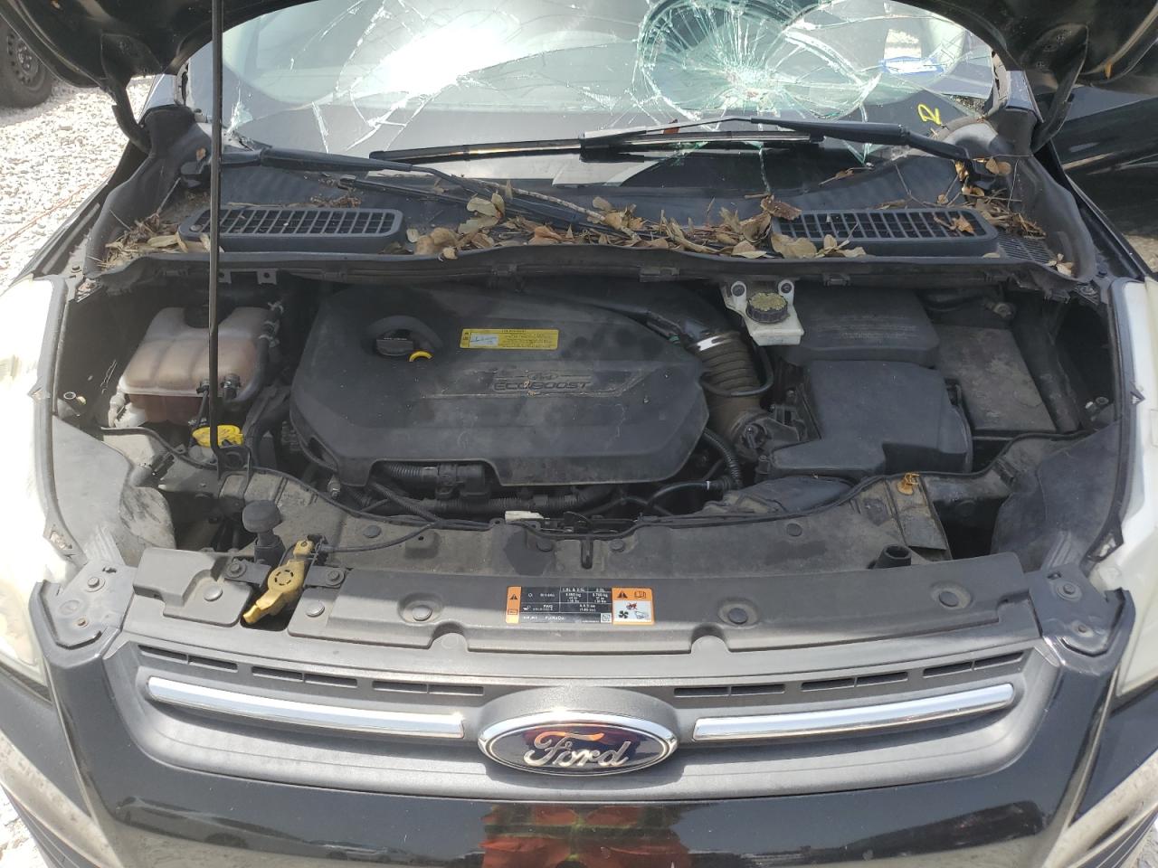 2014 Ford Escape Se VIN: 1FMCU0GX4EUC59333 Lot: 65405444