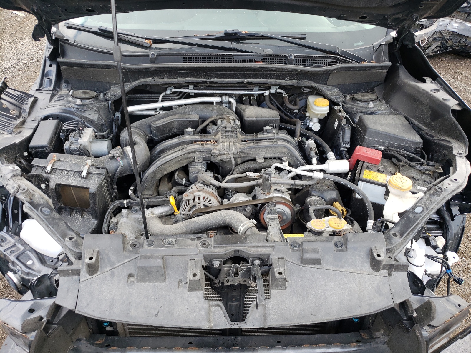 JF2SKAGC9KH504559 2019 Subaru Forester Premium