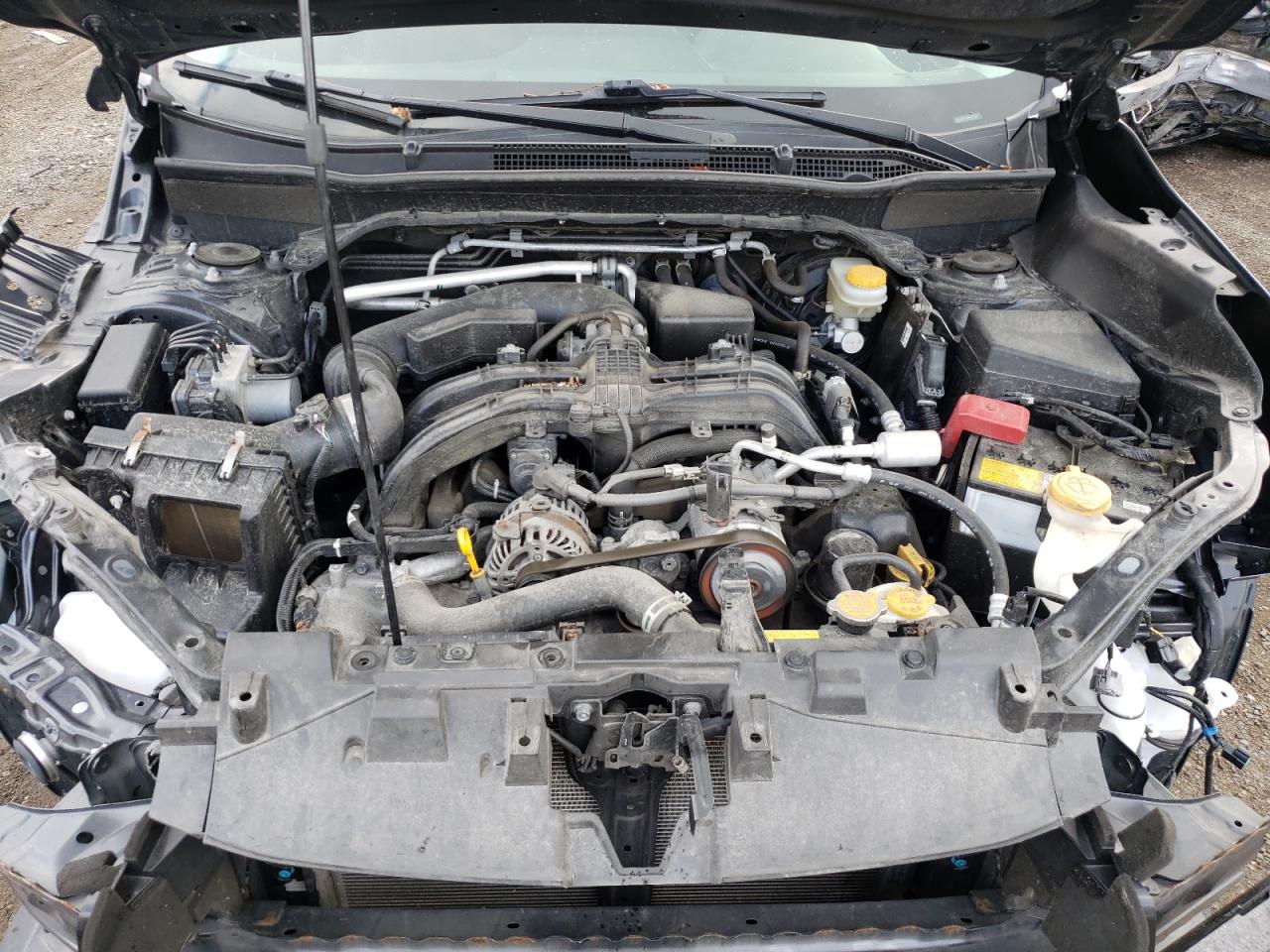 2019 Subaru Forester Premium VIN: JF2SKAGC9KH504559 Lot: 64677434