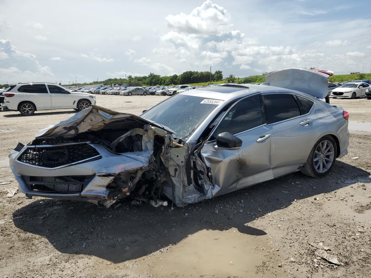2021 Acura Tlx VIN: 19UUB6F31MA002471 Lot: 62655264