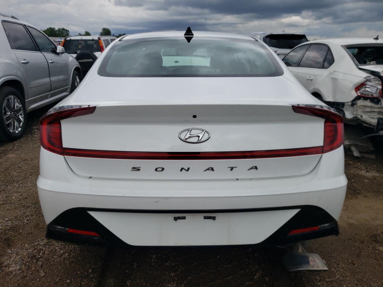 2020 Hyundai Sonata Sel VIN: 5NPEL4JA3LH055528 Lot: 64470144