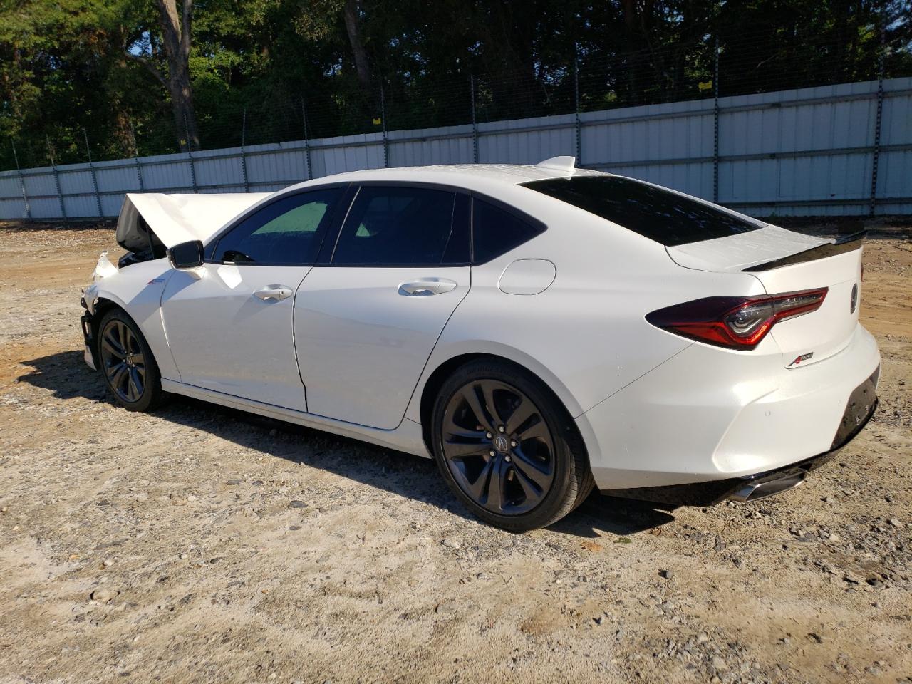 2021 Acura Tlx Tech A VIN: 19UUB5F51MA008427 Lot: 63360784