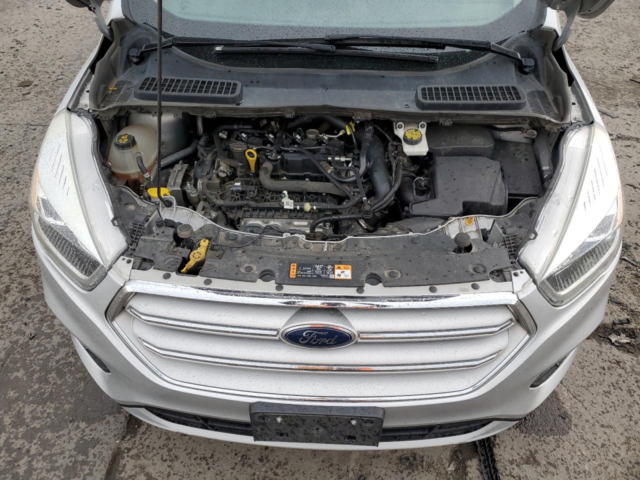 2019 Ford Escape Sel VIN: 1FMCU9HD8KUB03154 Lot: 65024284