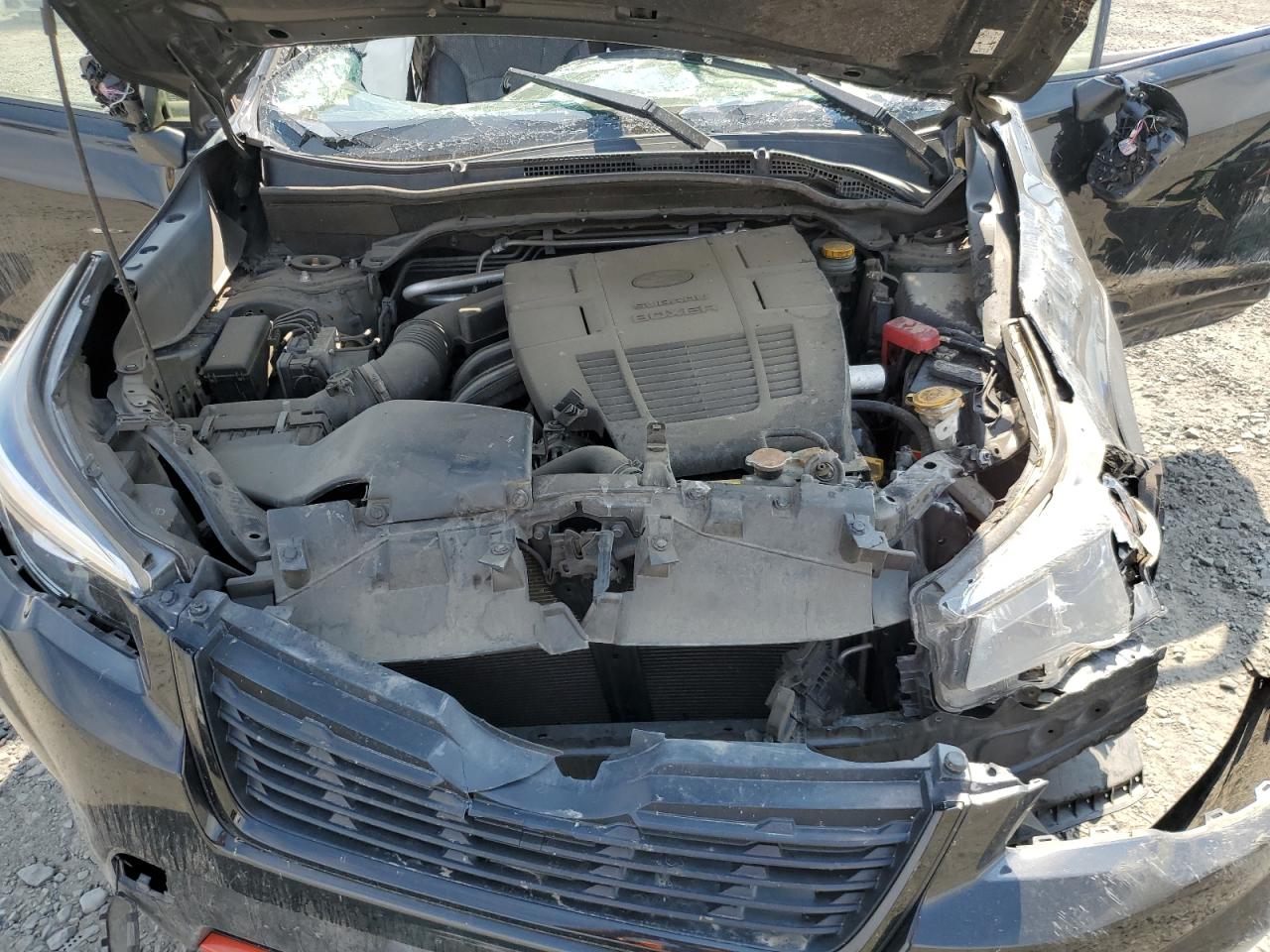 2019 Subaru Forester Sport VIN: JF2SKAPCXKH517174 Lot: 63313664