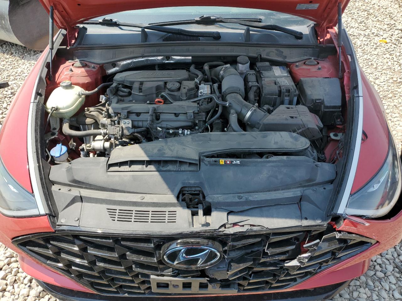 2020 Hyundai Sonata Sel Plus VIN: 5NPEJ4J25LH004613 Lot: 65162924