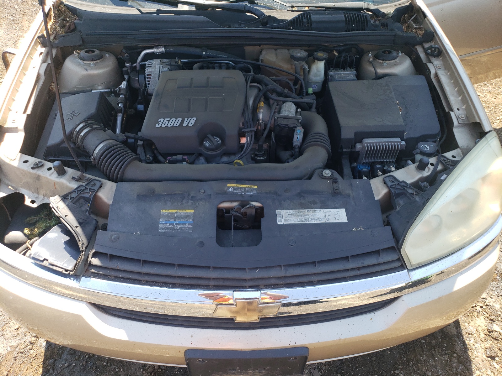 1G1ZU64885F208736 2005 Chevrolet Malibu Maxx Lt