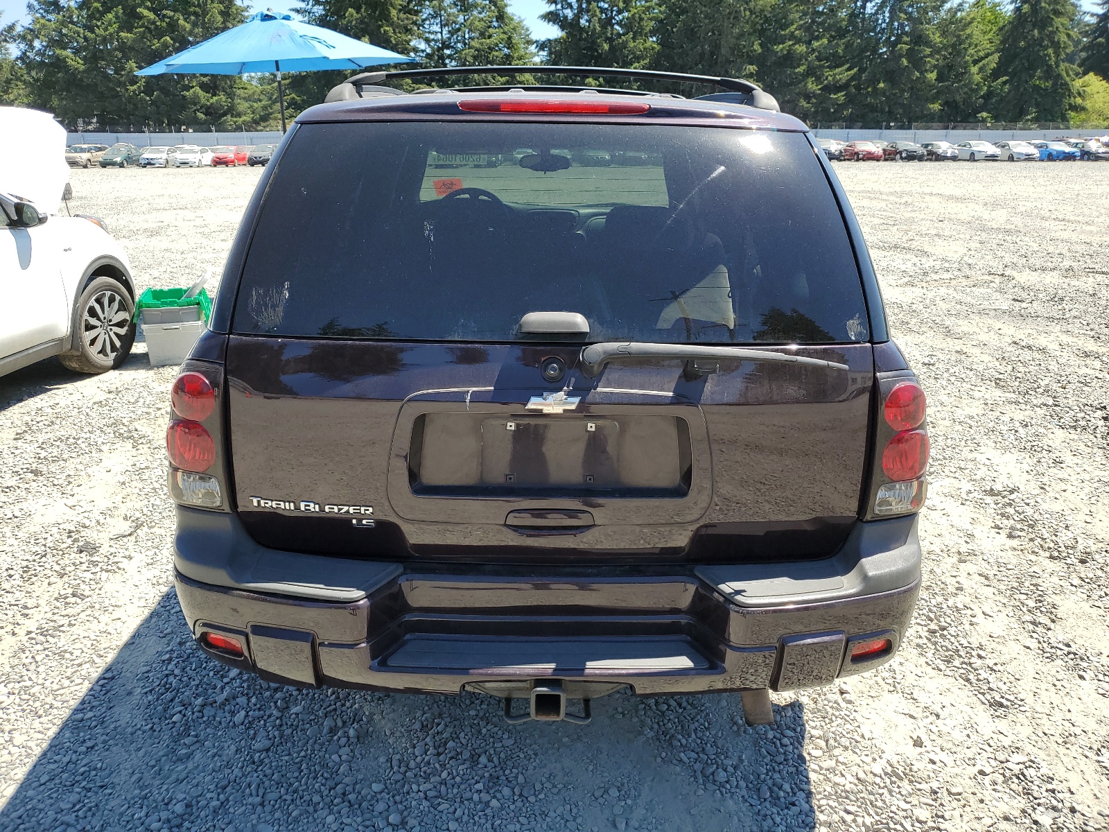 1GNDT13SX82237565 2008 Chevrolet Trailblazer Ls