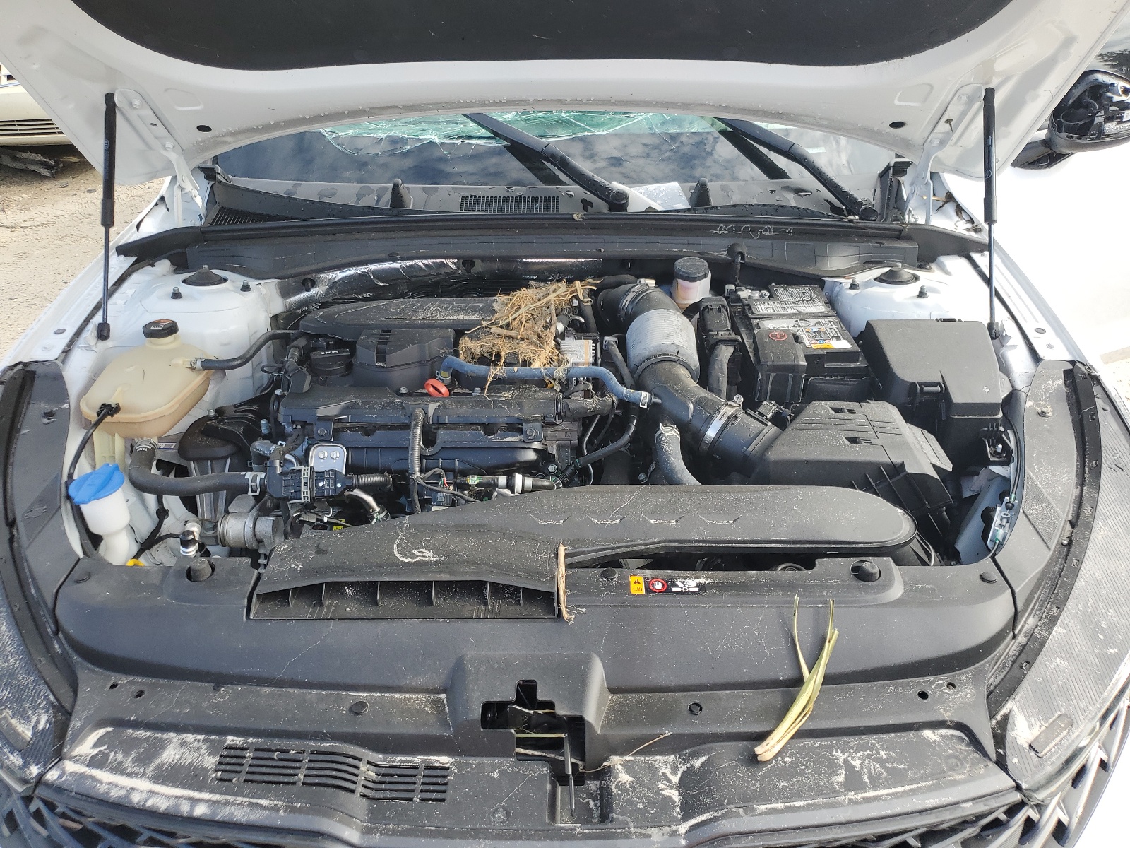 5XXG64J23PG210265 2023 Kia K5 Gt Line