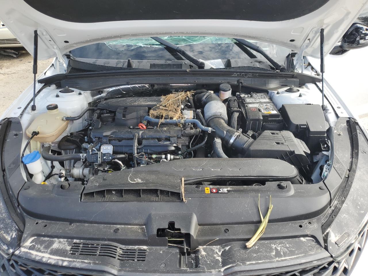 2023 Kia K5 Gt Line VIN: 5XXG64J23PG210265 Lot: 64650454