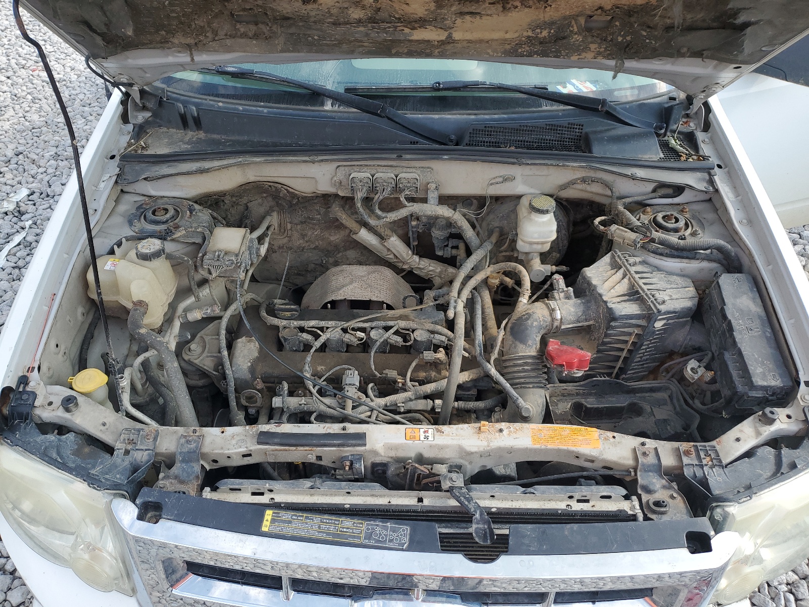 1FMCU03Z18KC09061 2008 Ford Escape Xlt