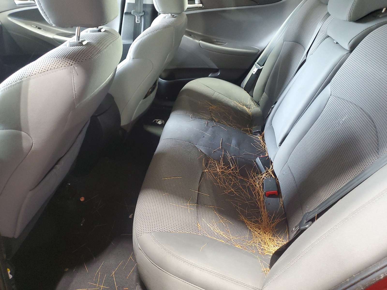 5NPEB4AC9EH910661 2014 Hyundai Sonata Gls