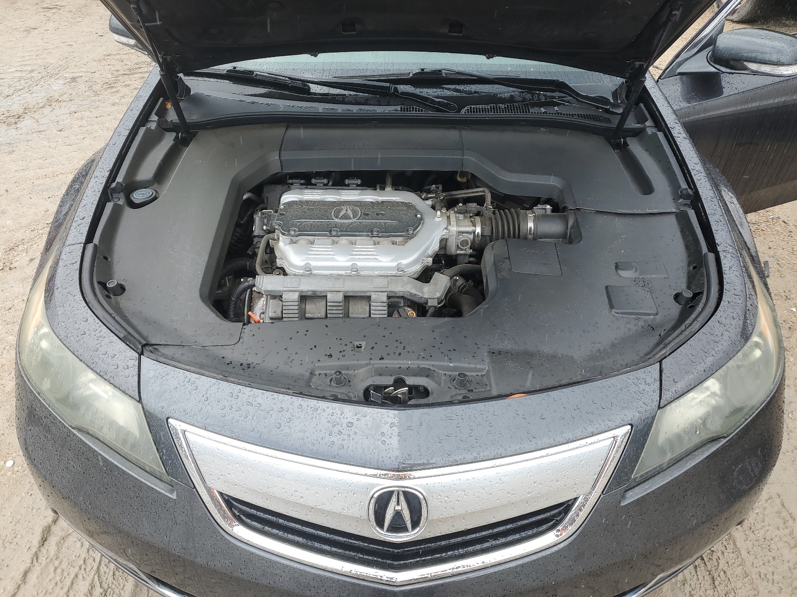 19UUA8F51CA000816 2012 Acura Tl