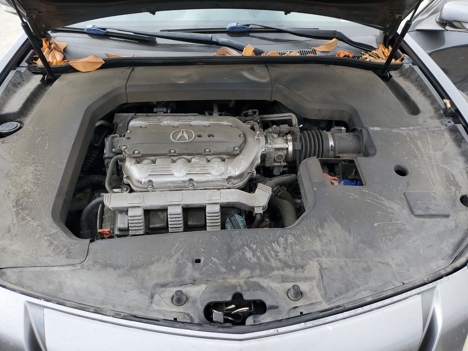 19UUA86579A012607 2009 Acura Tl