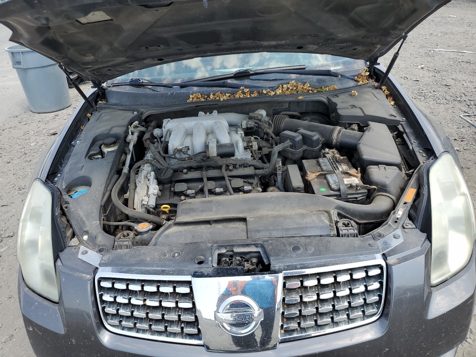 1N4BA41E75C828436 2005 Nissan Maxima Se