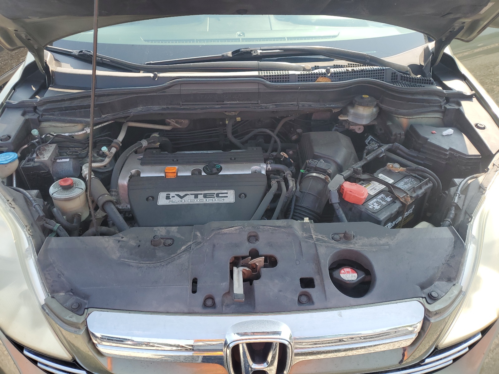 5J6RE48798L018907 2008 Honda Cr-V Exl