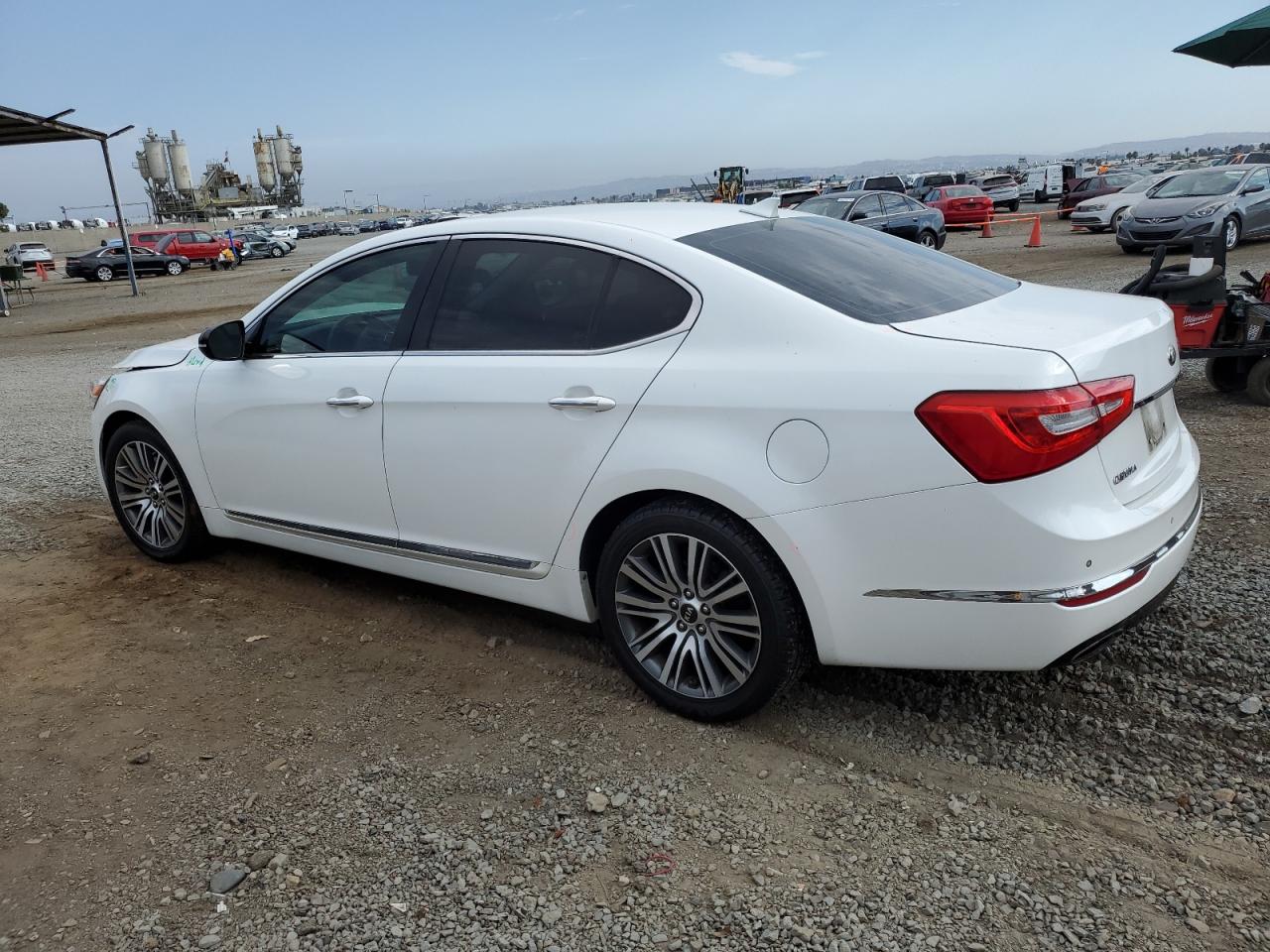 2014 Kia Cadenza Premium VIN: KNALN4D72E5166699 Lot: 64481244