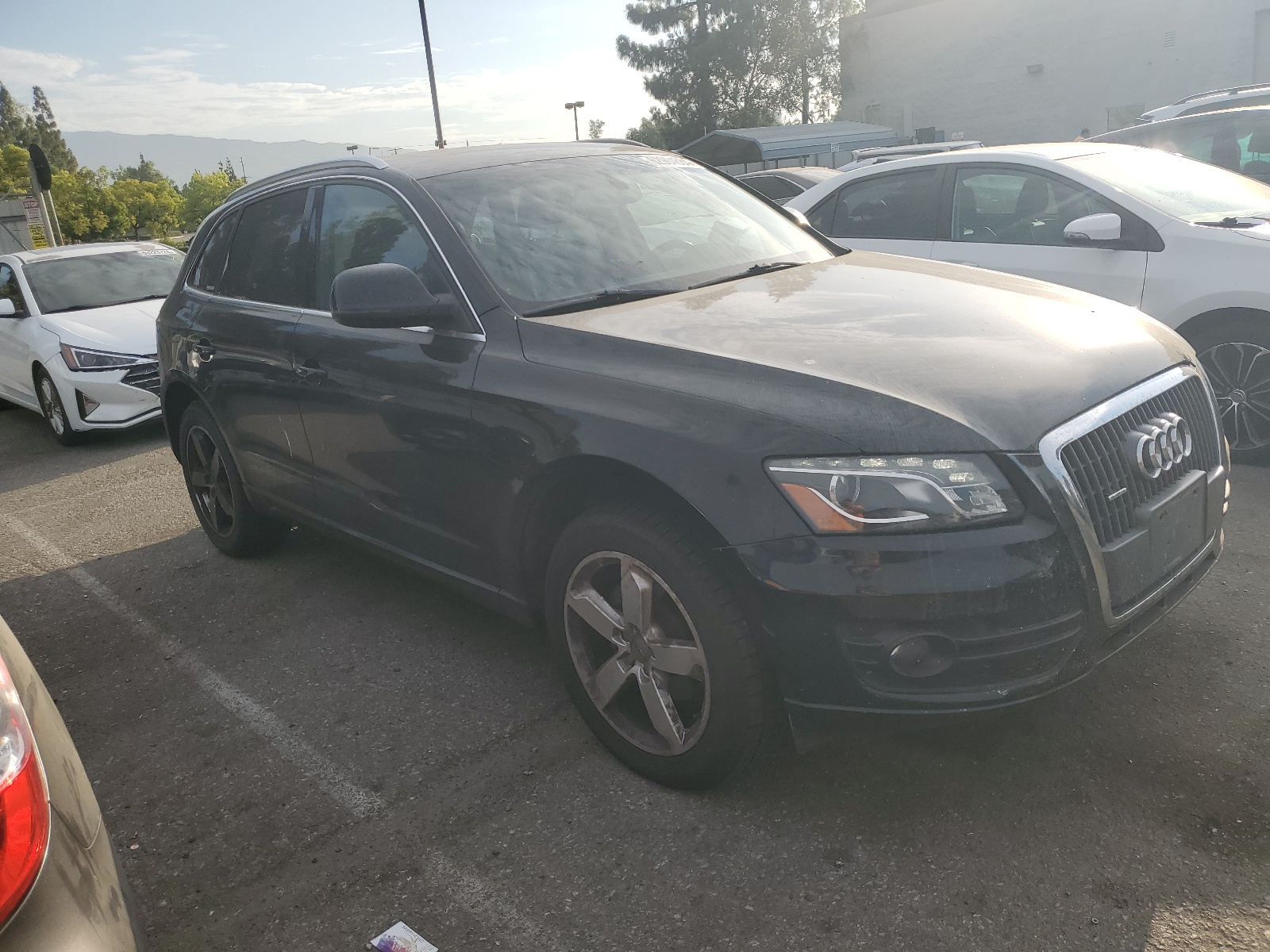 WA1LFAFP0BA005003 2011 Audi Q5 Premium Plus