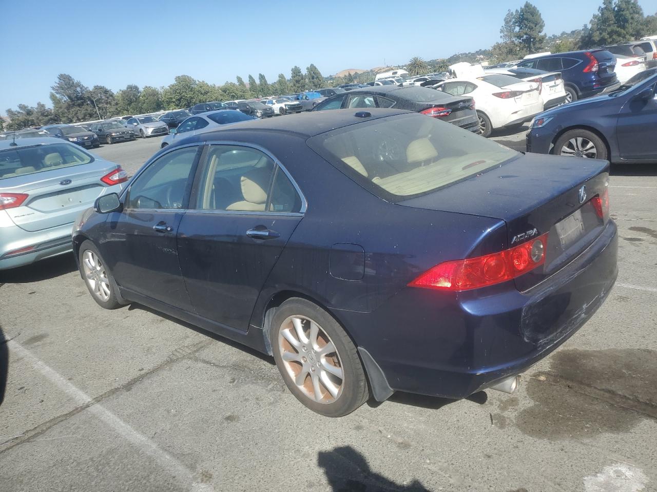 2007 Acura Tsx VIN: JH4CL96987C011348 Lot: 62768124
