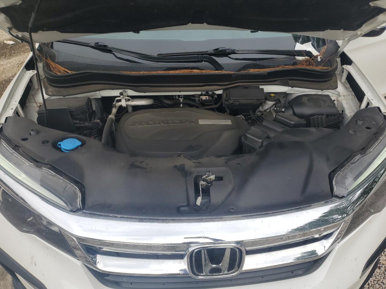 2020 Honda Pilot Exl VIN: 5FNYF6H55LB031738 Lot: 64146964