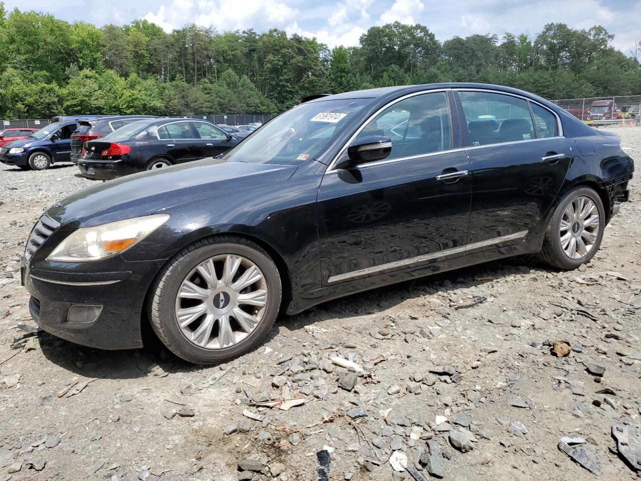 2009 Hyundai Genesis 3.8L VIN: KMHGC46E49U033407 Lot: 61991914